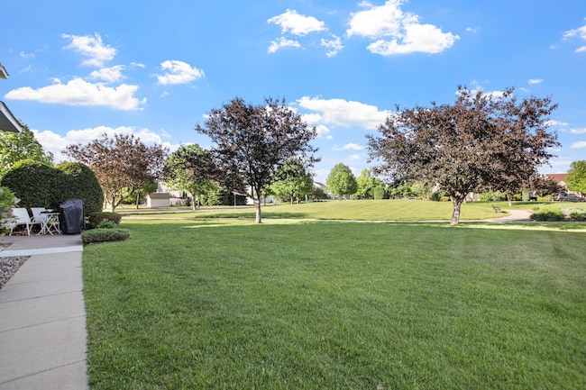 13768 Atwood Ave Unit 2101, Rosemount, MN 55068 photo 29