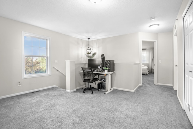 13768 Atwood Ave Unit 2101, Rosemount, MN 55068 photo 24