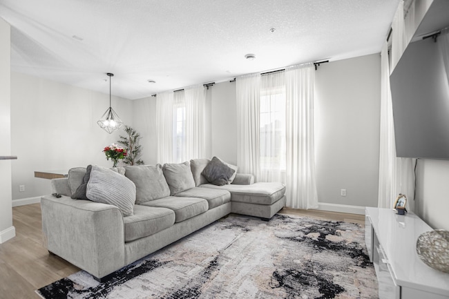 13768 Atwood Ave Unit 2101, Rosemount, MN 55068 photo 3