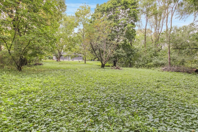 5317 Forest Rd, Minnetonka, MN 55345 photo 31