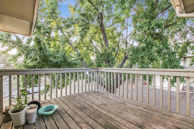 13824 84th Place N, Maple Grove, MN 55369 photo 26