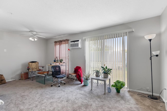 815 11th Ave S Unit 8, Hopkins, MN 55343 photo 9